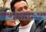 合法的世界杯竞猜-畅游足球激情，合法视角下的世界杯竞猜之旅