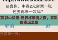 世界杯竞彩中奖票-世界杯激情之夜，竞彩中奖票的幸运之旅