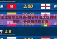 世界杯淘汰赛怎么竞猜-世界杯淘汰赛的精妙竞猜，策略、分析与乐趣并重