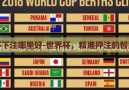世界杯下注哪里好-世界杯，精准押注的智慧之选
