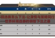 世界杯预选赛怎么下注-让激情与策略同行，解读世界杯预选赛的明智下注之道