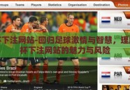 世界杯下注网站-回归足球激情与智慧，理解世界杯下注网站的魅力与风险