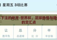 世界杯下注的地方-世界杯，足球热情与理性下注的交汇点