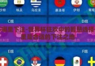 世界杯哪里下注-世界杯狂欢中的智慧选择——哪里是合适的下注之地