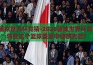 2026篮球世界杯竞猜-2026篮球世界杯竞猜，谁将在这个篮球盛宴中绽放光芒？