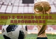 世界杯网站下注-世界杯比赛与线上投注，策略与风险并存的数字化体验