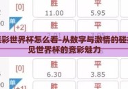 体彩竞彩世界杯怎么看-从数字与激情的碰撞中窥见世界杯的竞彩魅力