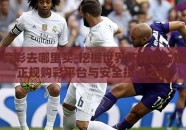 世界杯竞彩去哪里买-挖掘世界杯竞彩乐趣，探索正规购彩平台与安全投注之道