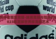 足球世界杯在哪里竞猜-球场竞技与智慧的碰撞，2023年足球世界杯竞猜艺术