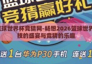 2026篮球世界杯竞猜网-畅想2026篮球世界杯，竞技的盛宴与竞猜的乐趣