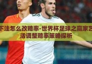 世界杯下注怎么改赔率-世界杯足球之赢家艺术，灵活调整赔率策略探析