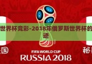 俄罗斯世界杯竞彩-2018年俄罗斯世界杯的竞彩奇迹