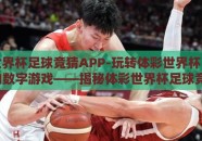 体彩世界杯足球竞猜APP-玩转体彩世界杯，足坛欢腾的数字游戏——揭秘体彩世界杯足球竞猜APP