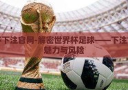 世界杯下注官网-解密世界杯足球——下注官网的魅力与风险