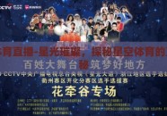 世界杯历史胜率-探索世界杯历史的辉煌与挑战，揭秘各队胜率奥秘