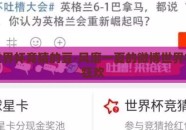 微博世界杯竞猜的豆-风靡一夏的微博世界杯豆趣狂欢