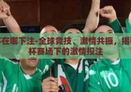 世界杯在哪下注-全球竞技、激情共振，揭秘世界杯赛场下的激情投注