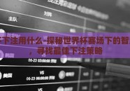 世界杯下注用什么-探秘世界杯赛场下的智慧赌局，寻找最佳下注策略