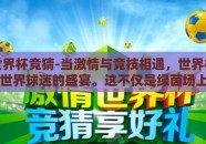 怎么世界杯竞猜-当激情与竞技相遇，世界杯便成为了全世界球迷的盛宴。这不仅是绿茵场上的黑白对抗，更是智慧与幸运的较量——世界杯竞猜。那么，如何在这样的狂欢中，以独特的视角和精准的判断力，参与这场全球性的足球盛宴？