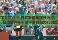 世界杯下注平台-世界杯激情与理性选择，探索正規合法世界杯下注平台的魅力和风险