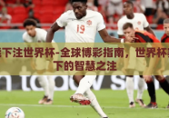在哪能下注世界杯-全球博彩指南，世界杯赛场外下的智慧之注