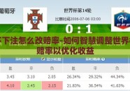 世界杯下注怎么改赔率-如何智慧调整世界杯下注赔率以优化收益