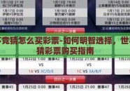 世界杯竞猜怎么买彩票-如何明智选择，世界杯竞猜彩票购买指南