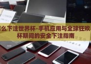 手机怎么下注世界杯-手机应用与全球狂欢，世界杯期间的安全下注指南
