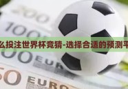 怎么投注世界杯竞猜-选择合适的预测平台
