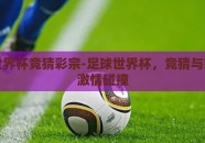 足球世界杯竞猜彩宗-足球世界杯，竞猜与彩宗的激情碰撞