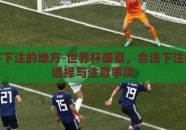 世界杯下注的地方-世界杯盛宴，合法下注的智慧选择与注意事项