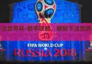 怎么下注世界杯-新手攻略，明智下注世界杯的窍门