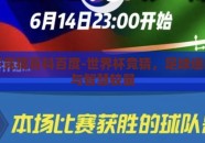 世界杯竞猜百科百度-世界杯竞猜，足球迷的盛宴与智慧较量