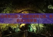 上海星空体育公园-上海星空体育公园，夜空之下的活力与梦想