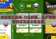 世界杯竞猜怎么赢钱-力压群雄，五步骤密籍助您世界杯竞猜中取连胜