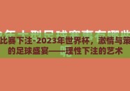 世界杯比赛下注-2023年世界杯，激情与策略并重的足球盛宴——理性下注的艺术