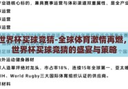 2026世界杯买球竞猜-全球体育激情再燃，2026世界杯买球竞猜的盛宴与策略