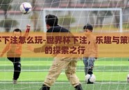世界杯下注怎么玩-世界杯下注，乐趣与策略同行的探索之行