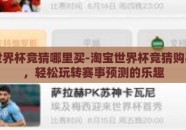 淘宝世界杯竞猜哪里买-淘宝世界杯竞猜购买指南，轻松玩转赛事预测的乐趣