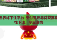 支付宝世界杯下注平台-支付宝世界杯观赛指南，理性下注，享受激情