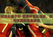 世界杯玩竞彩哪个好-世界杯竞彩选择，探索激情与策略的完美融合