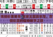 世界杯竞猜彩票赔率-足球王国嘉年华，世界杯竞猜彩票的趣味数学之旅