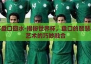 世界杯盘口回水-揭秘世界杯，盘口的智慧与回水艺术的巧妙融合