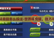 世界杯竞猜怎么投注-世界杯竞猜，技巧与策略