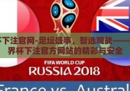 世界杯下注官网-足坛盛事，智选观战——揭秘世界杯下注官方网站的精彩与安全