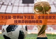 世界杯下注量-世界杯下注量，全球足球文化与竞技博弈的独特视角