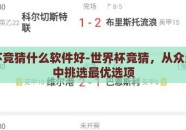 世界杯竞猜什么软件好-世界杯竞猜，从众多软件中挑选最优选项