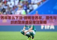 微博世界杯怎么下注-微博世界杯，理性与娱乐交织的足球盛宴赌注策略