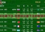 世界杯比赛下注-世界杯比赛下注的智慧与风险