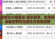 世界杯竞猜比分哪里买-精彩赛事，精准预测——揭秘世界杯竞猜比分购买指南